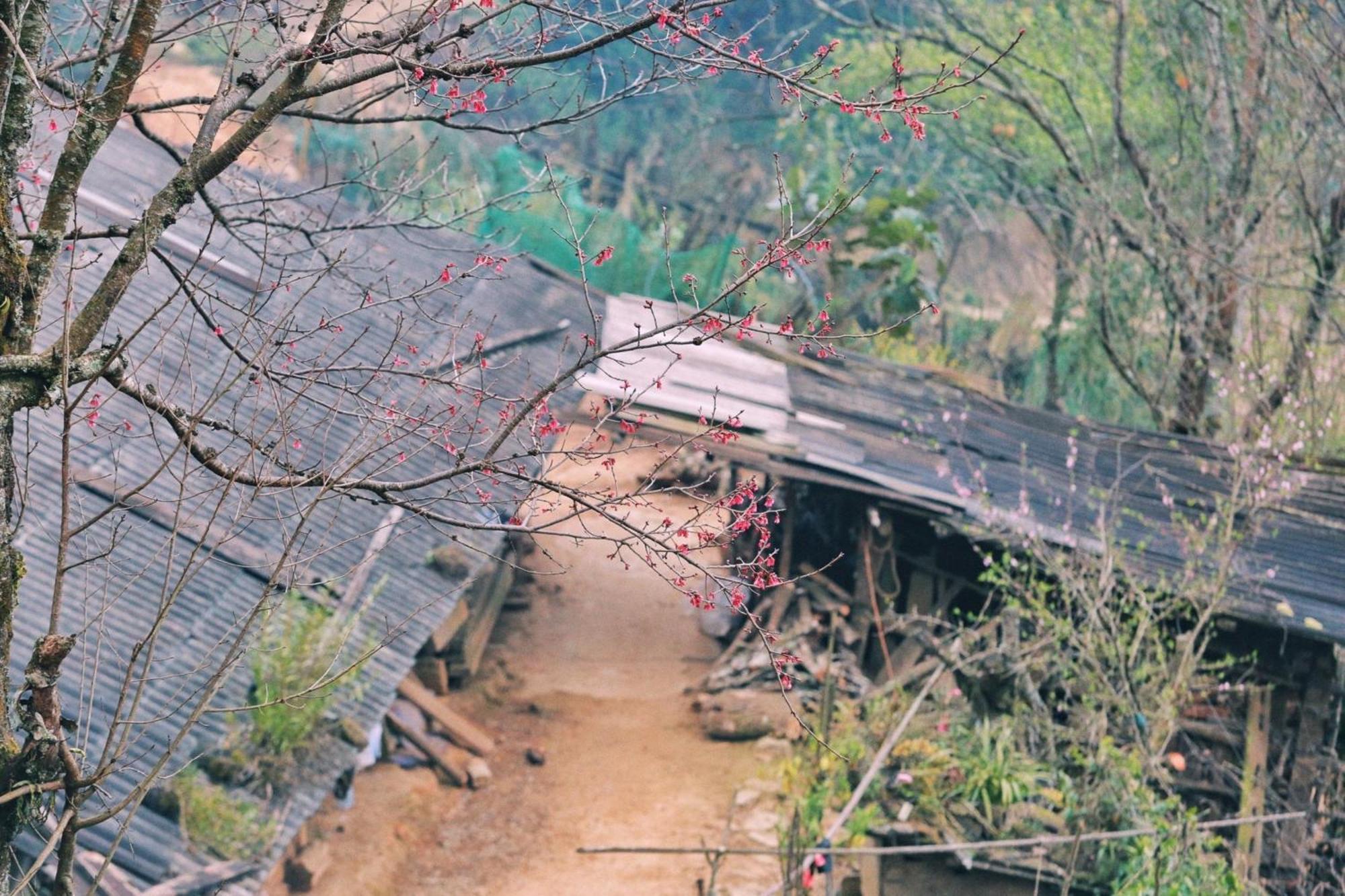 Nha Hang Homestay Pho Nui Bac Yen Exterior foto