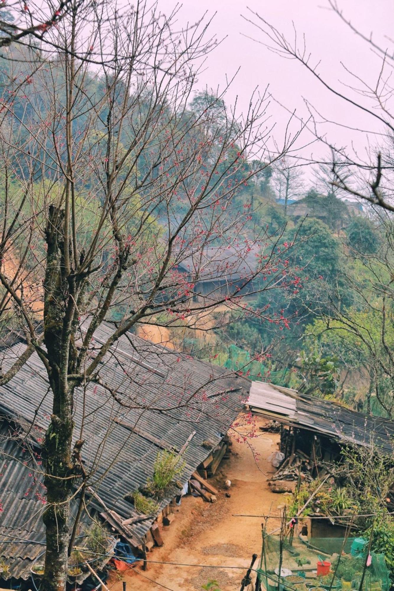 Nha Hang Homestay Pho Nui Bac Yen Exterior foto